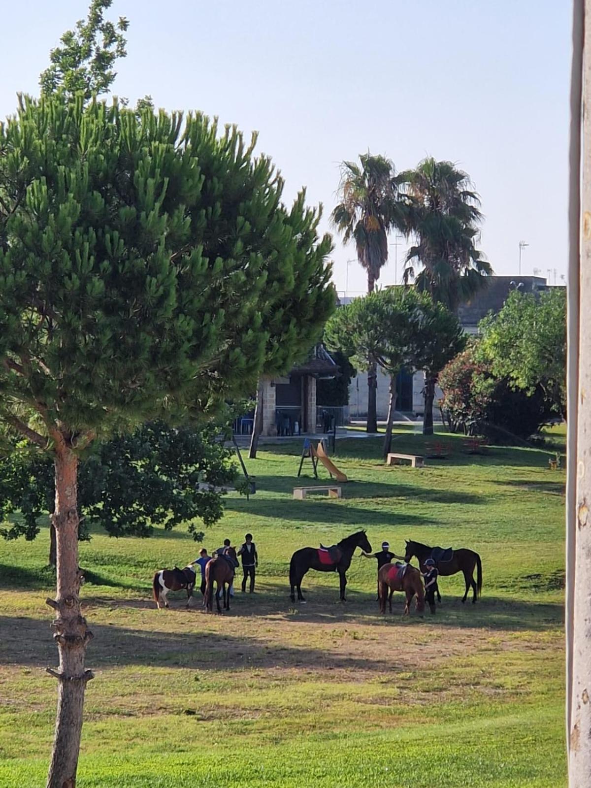 La Macchia Βίλα Botrugno Εξωτερικό φωτογραφία