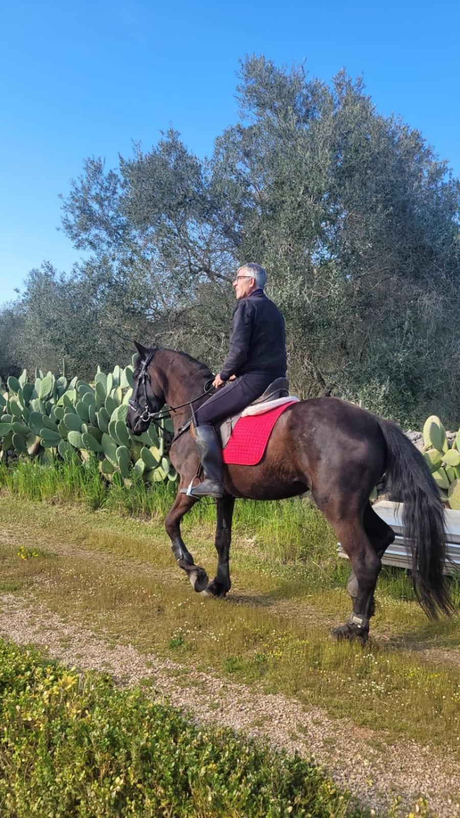 La Macchia Βίλα Botrugno Εξωτερικό φωτογραφία